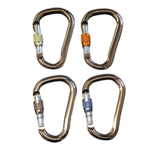 Black Diamond Rocklock Screwgate Carabiner