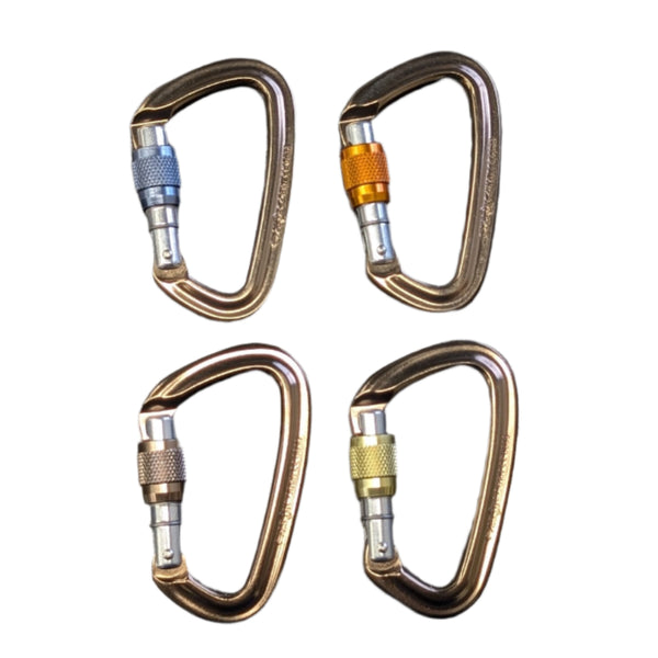 Black Diamond Positron Screwgate Carabiner